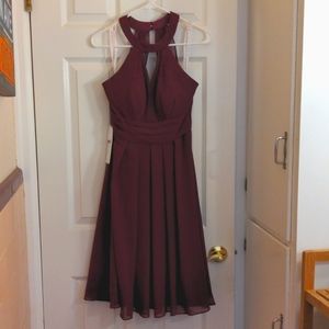 Short Raspberry Dress